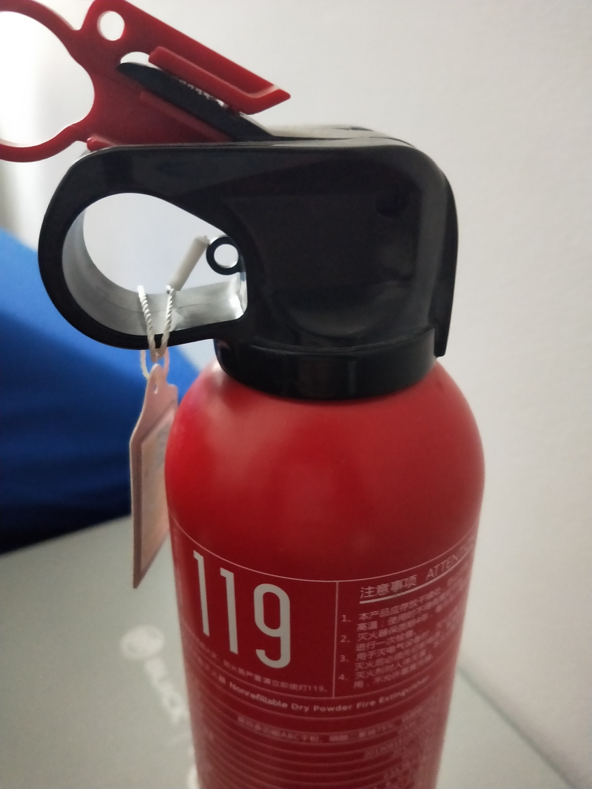 镇定汽车用车载灭火器小车轿车家用手提小型便携干粉消防器材年检600g