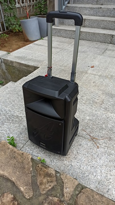 爱浪(avlight)dt21广场舞音响户外k歌无线蓝牙音箱家用移动拉杆大音量