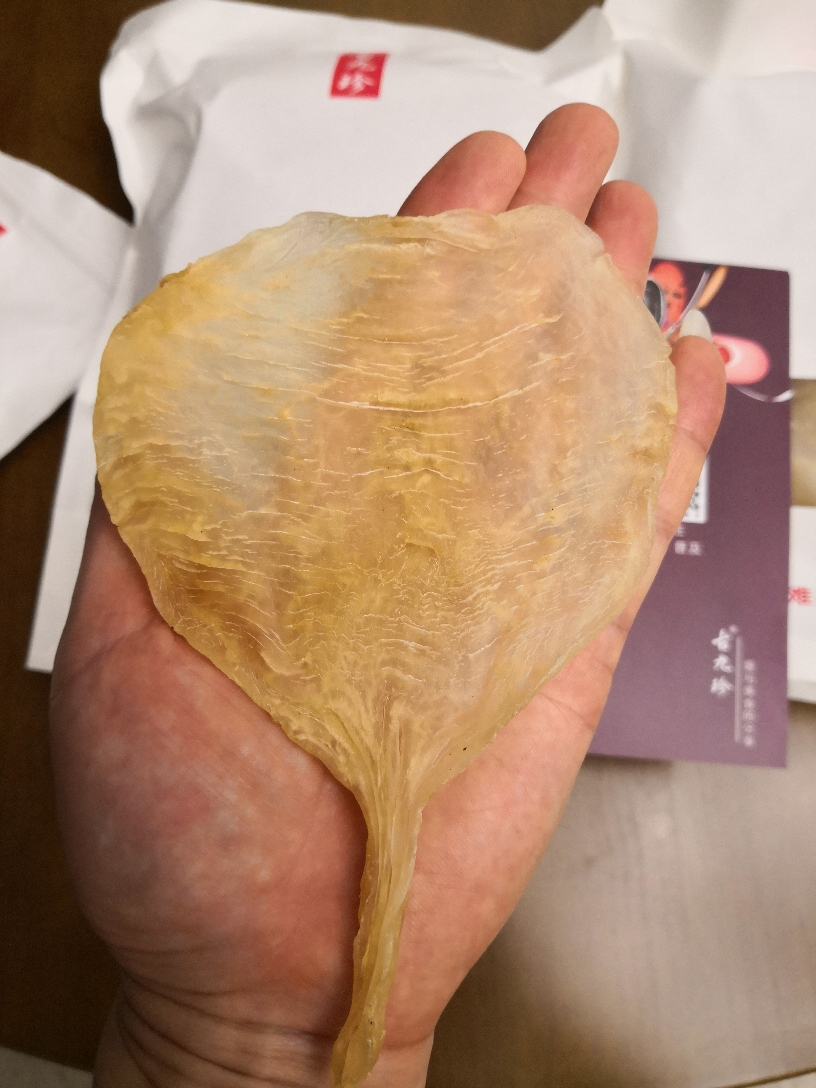 【古九珍】陈年花胶斗湖鳘 100克2两约5头 鱼胶正品赤嘴鳘鱼肚鳖鱼鳔