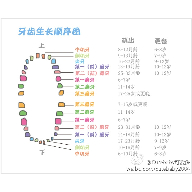 三丽鸥人物出生时间图片