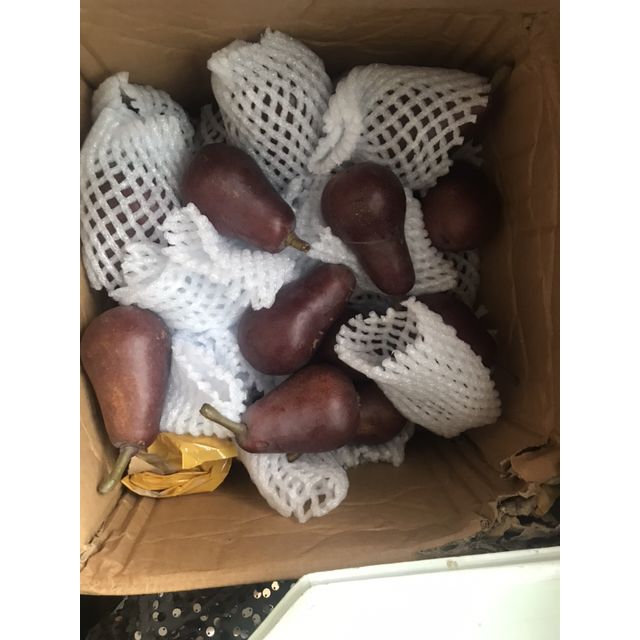 现摘红啤梨红皮梨大头梨西洋太婆梨啤酒梨冰淇淋梨新鲜水果60mm大果