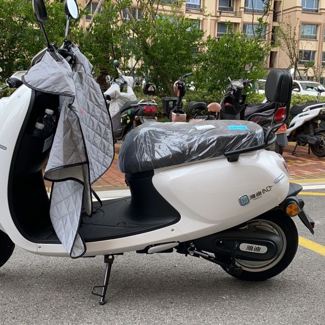 雅迪电动轻便摩托车米迪成人双人男女龟王代步车雪珠白