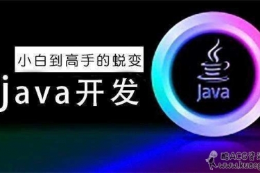 java视频教程 开发编程程序设计零基础入门自学架构框架在线课程[转]