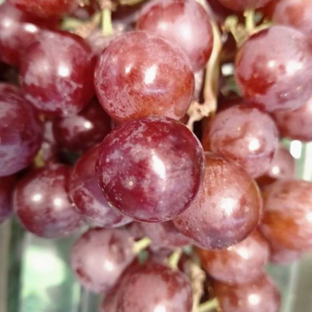 生鲜 水果 浆果类 新疆弗雷葡萄 新疆弗雷葡萄商品评价  闵闵甜,不要