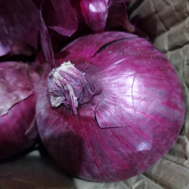 2020新鲜现挖紫皮洋葱包邮三斤五斤农家自种新鲜蔬菜2020年洋葱五斤
