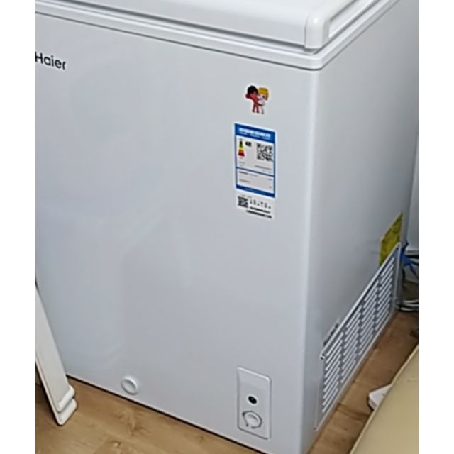 海尔haierbcbd103htd103升冰柜家用节能省电小冷柜低霜冰柜家用小容量
