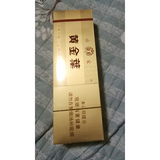 黄金叶金硬图片