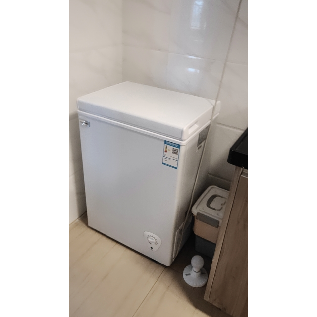 荣事达bdbc136136升冰柜小型家用冰箱冷柜冷藏迷你保鲜冷冻两用