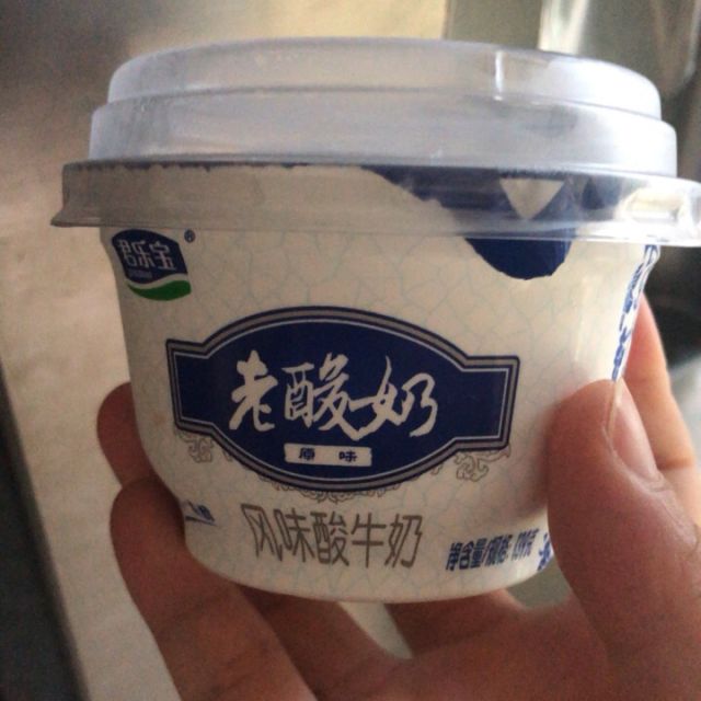 君乐宝junlebao老酸奶益生菌发酵风味低温酸奶酸牛奶139g12杯礼盒装