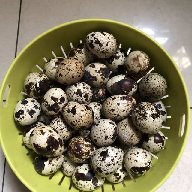 新鲜生鹌鹑蛋50枚鹑鸟蛋生鲜蛋送卤蛋料破损包赔