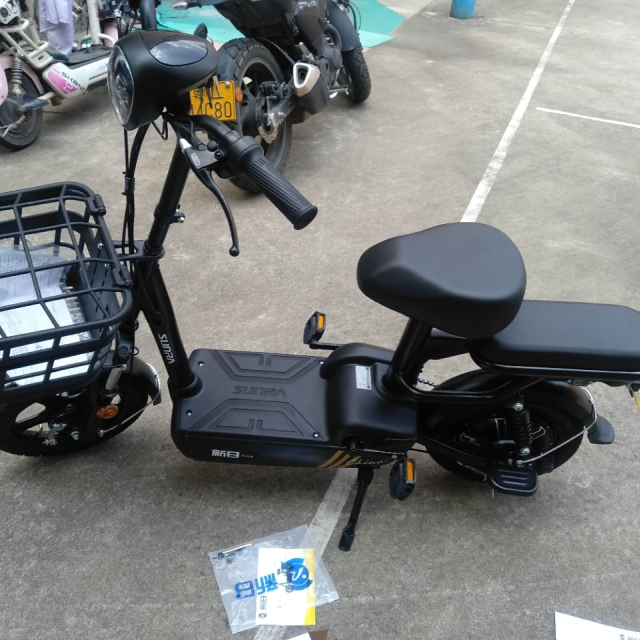 新日新国标电动车小果酱48v12ah铅酸