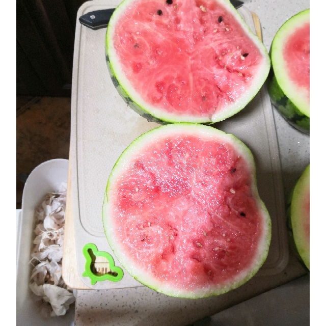 新虹宝南美白虾仁大号200g袋1113只海鲜水产