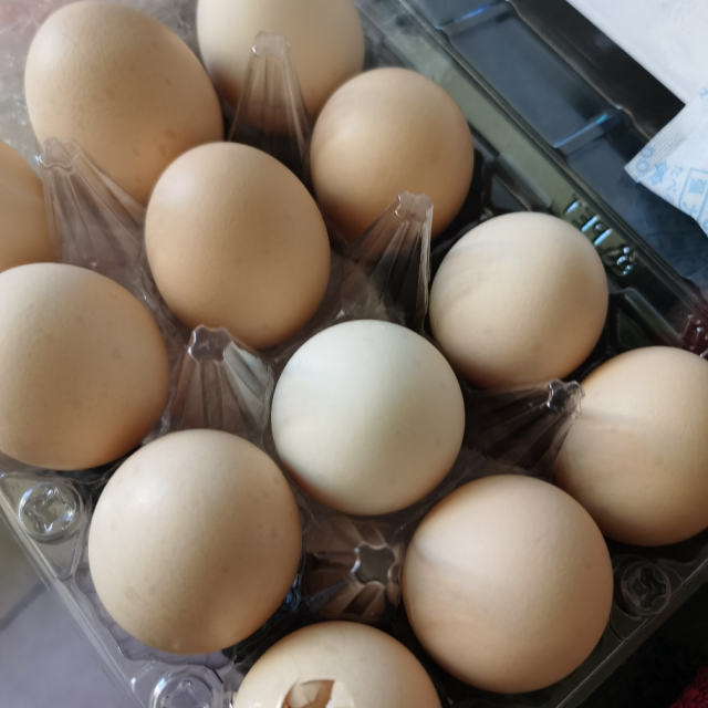 佳丰吸塑农养草鸡蛋12枚