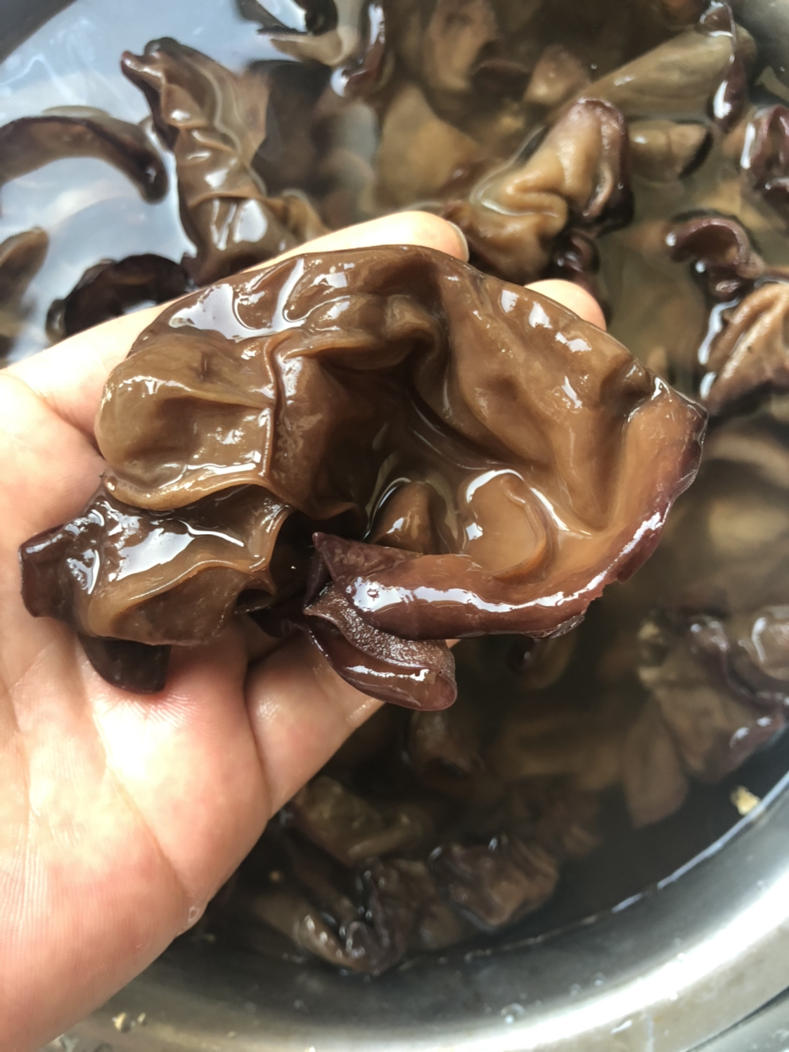 白背黑木耳毛木耳大个凉拌火锅木耳脆木耳黑木耳干货 白背黑木耳一斤