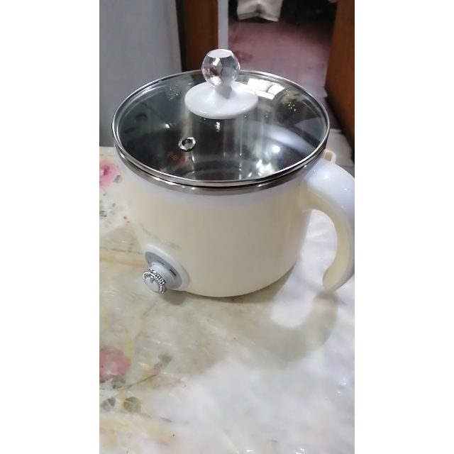 多功能宿舍锅学生锅煮面小锅12人3迷你寝室小电锅煮粥神器用电蒸锅打