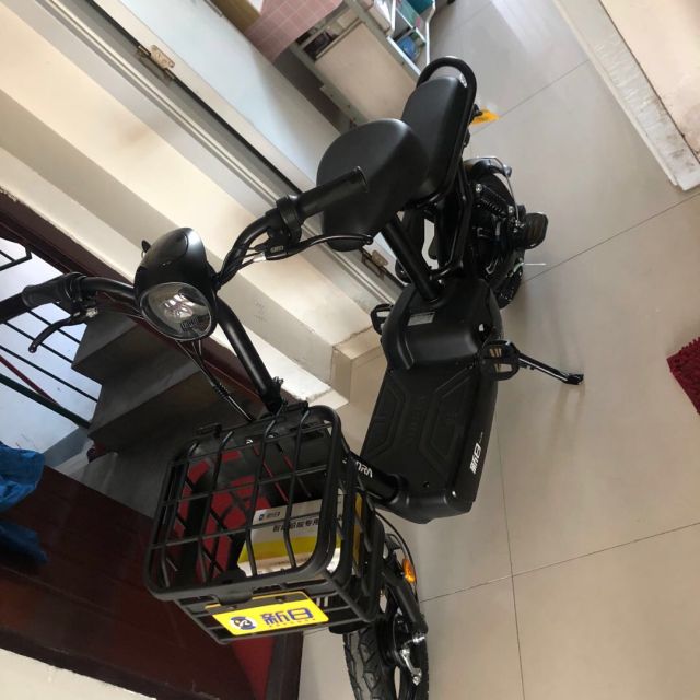 新日新国标电动车小果酱48v12ah铅酸