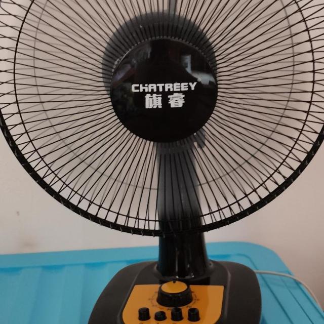 扬子电风扇ft30三档风速广角摇头定时功能台扇学生宿舍摇头静音省电
