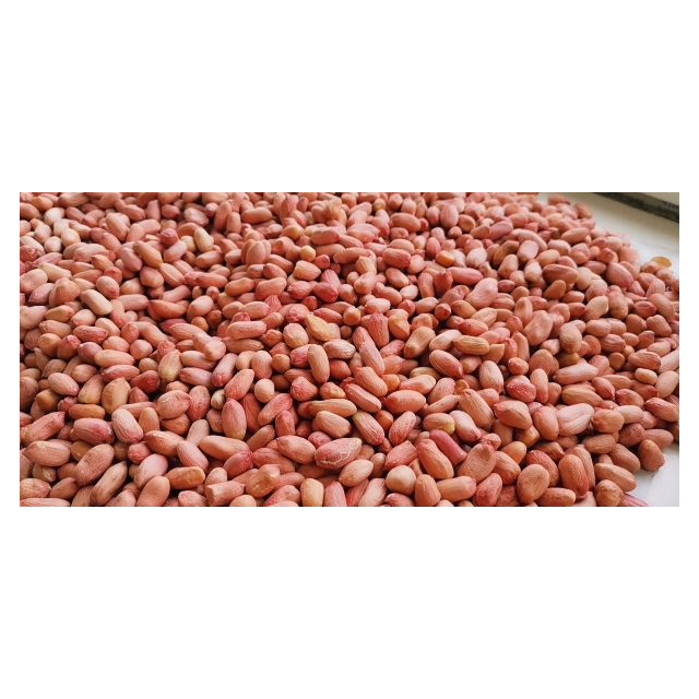 中华特色兰考馆新花生米25kg生花生米农家自种华中