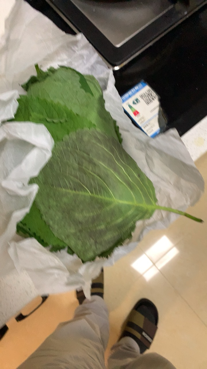 1份东北鲜族新鲜苏子叶韩国烤肉叶绿色蔬菜嫩叶紫苏叶约90片晒单图