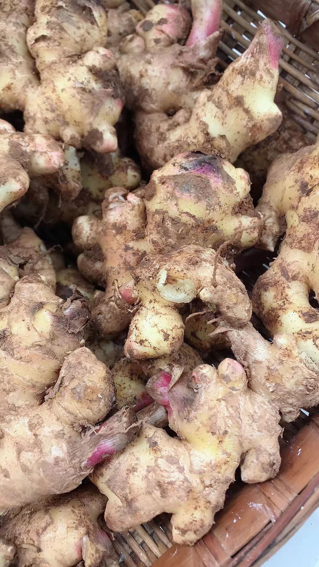 嫩姜新鲜泡姜云南小姜新鲜农家生姜月子姜嫩姜3斤 小黄姜3斤 精选晒单