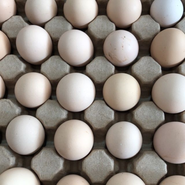 正宗农家土鸡蛋30枚装农家散养笨鸡蛋柴鸡蛋草鸡蛋非鹌鹑蛋鸭蛋鹅蛋桃