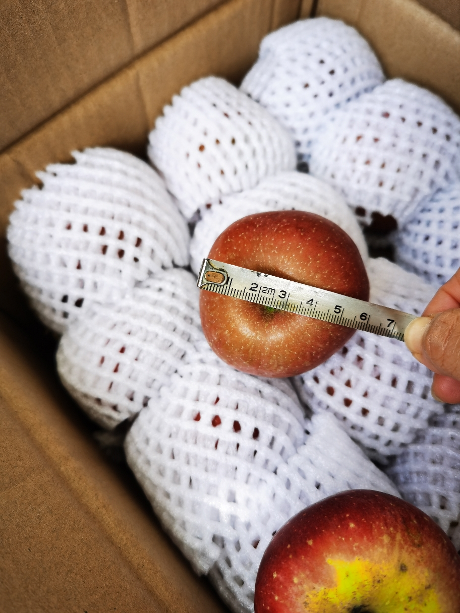 大凉山盐源丑苹果水果新鲜脆甜苹果 70-80mm 9斤杨二咪晒单图