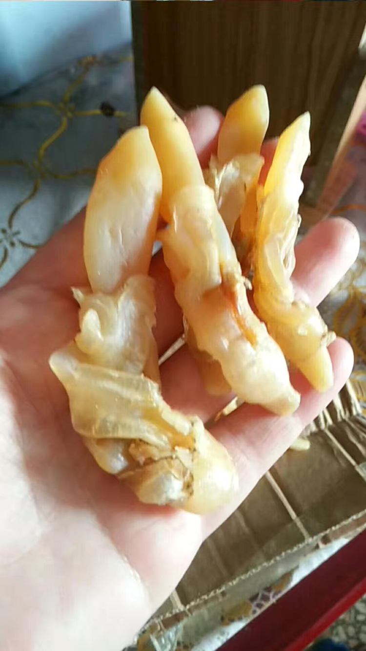 蛏干蛏子干货海蛏干海鲜特产海蛏子肉大蛏肉干 500克蛏干晒单图