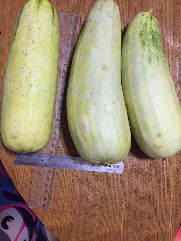 羊角蜜甜瓜5斤装 香瓜脆甜多汁农家新鲜水果脆瓜蜜瓜晒单图