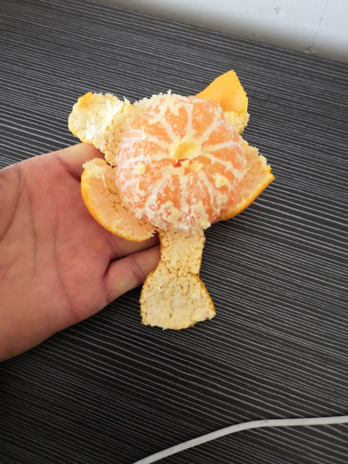 【顺丰发货 】【苗家十八洞】湖南湘西椪柑芦柑5斤 单果径60-65mm