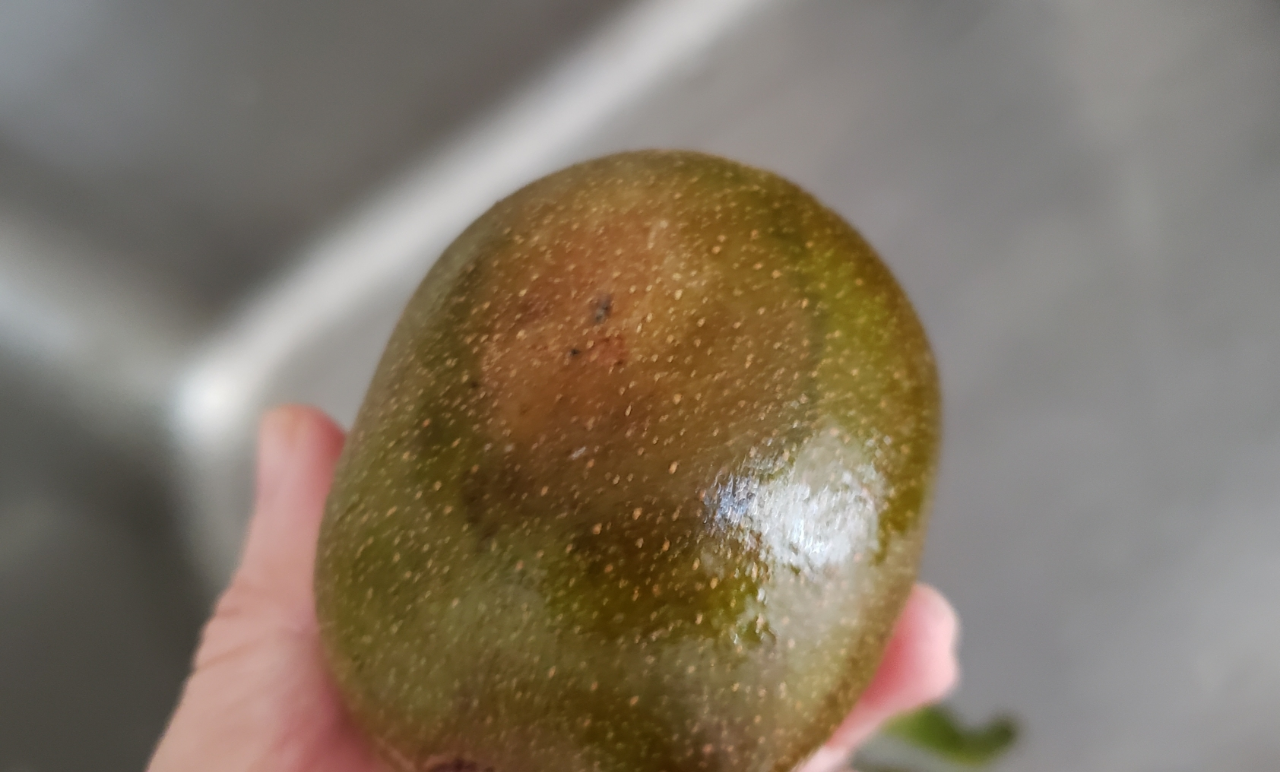 鲜菓篮 蒲江红心猕猴桃 单果90-110g12粒装 应季新鲜水果奇异果 苏宁