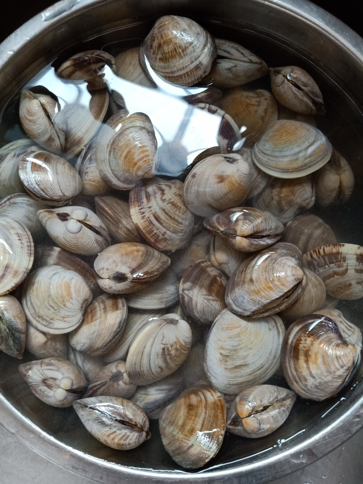 花甲鲜活蛤蜊海鲜鲜活美人贝花甲肉海鲜贝类水产海鲜生鲜海鲜 五斤(15