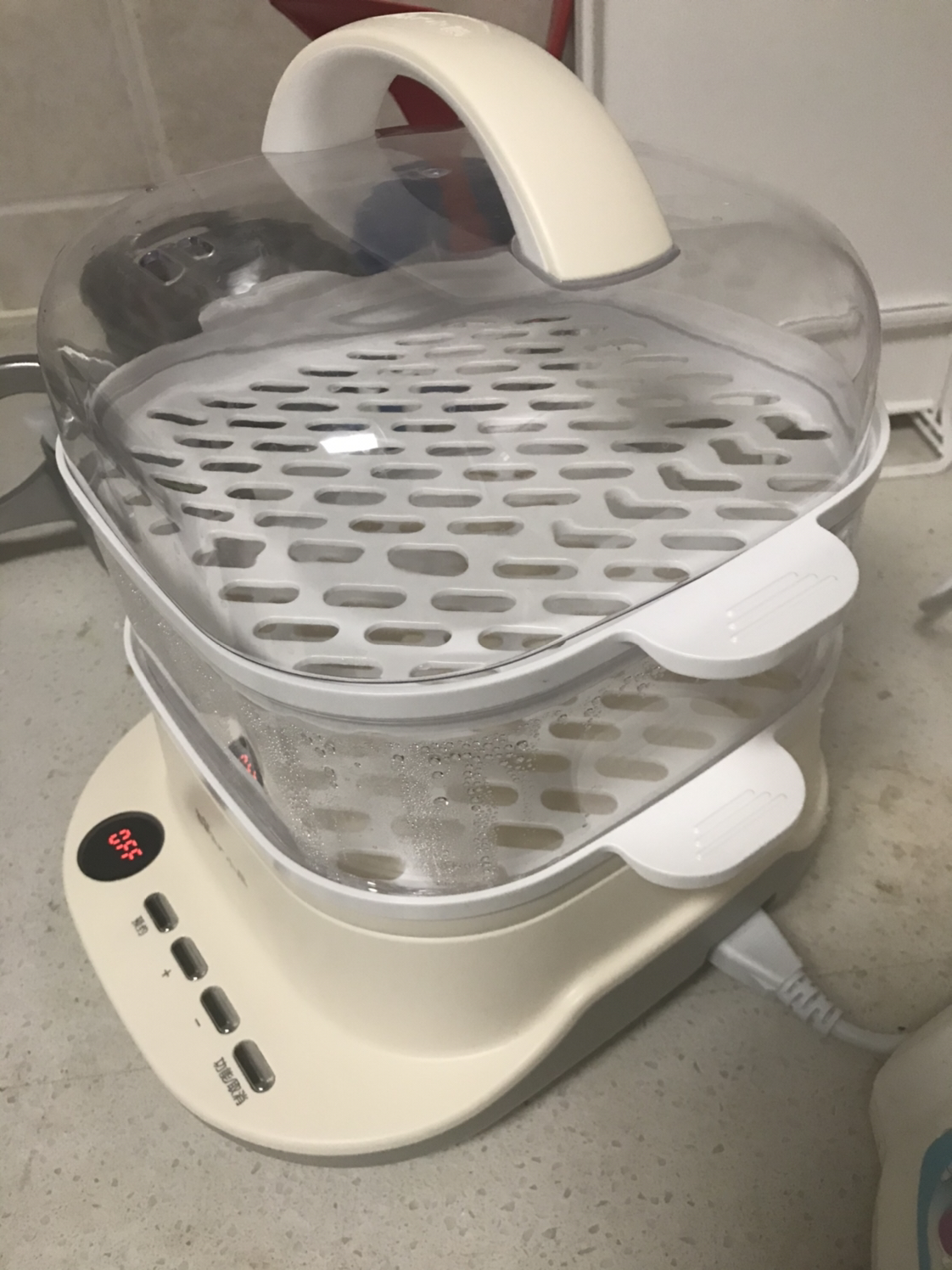 容量多功能电蒸锅