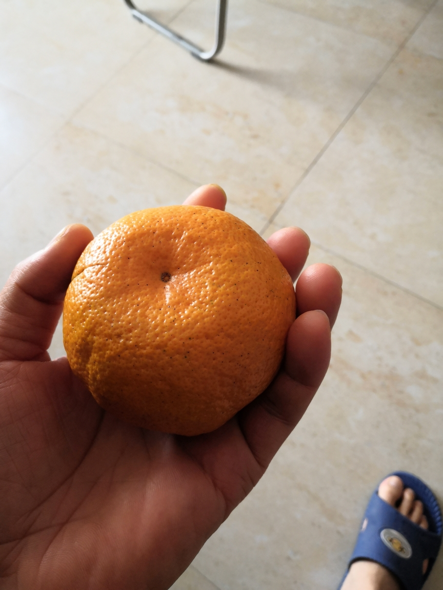 【顺丰发货 】【苗家十八洞】湖南湘西椪柑芦柑5斤 单果径60-65mm