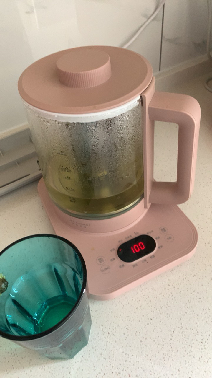 生活元素(life element)养生壶d60-h02办公室家用多功能小型迷你全