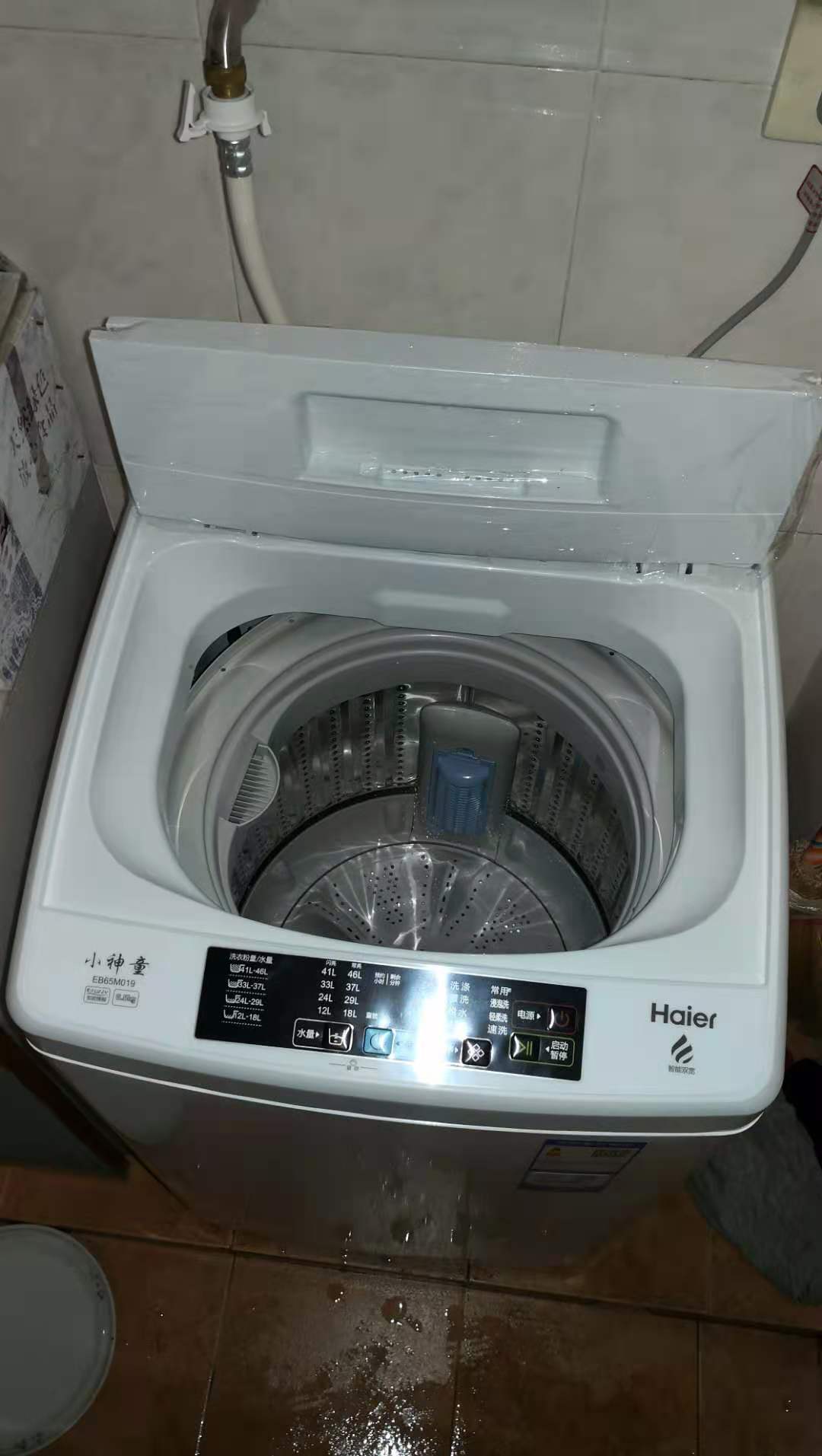海尔小小神童2kg洗衣机图片