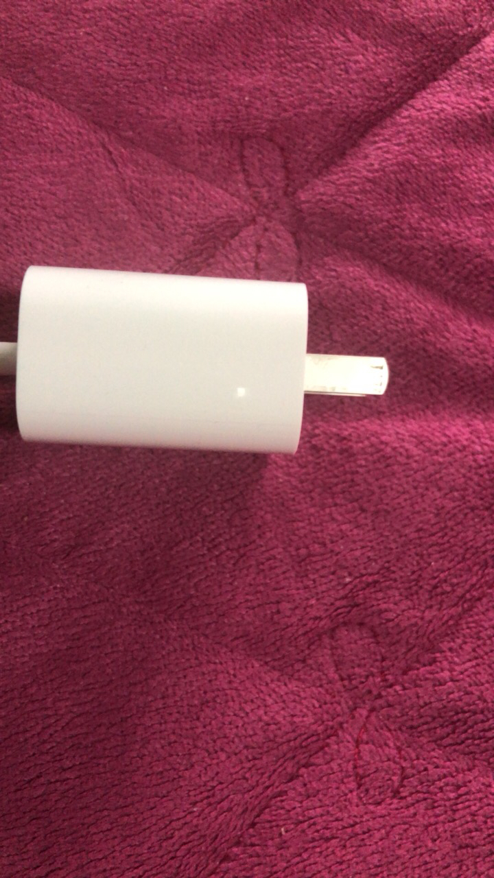 苹果/apple 原装充电器/充电头 20w 适配iphone8/x/11/12手机快充 usb