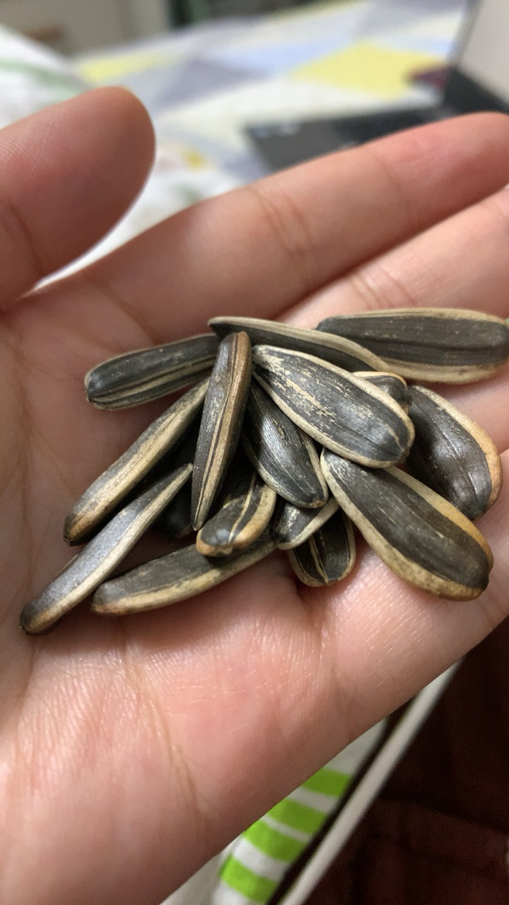 我们为您提供大瓜子原味的优质评价,包括大瓜子原味商品评价,晒单