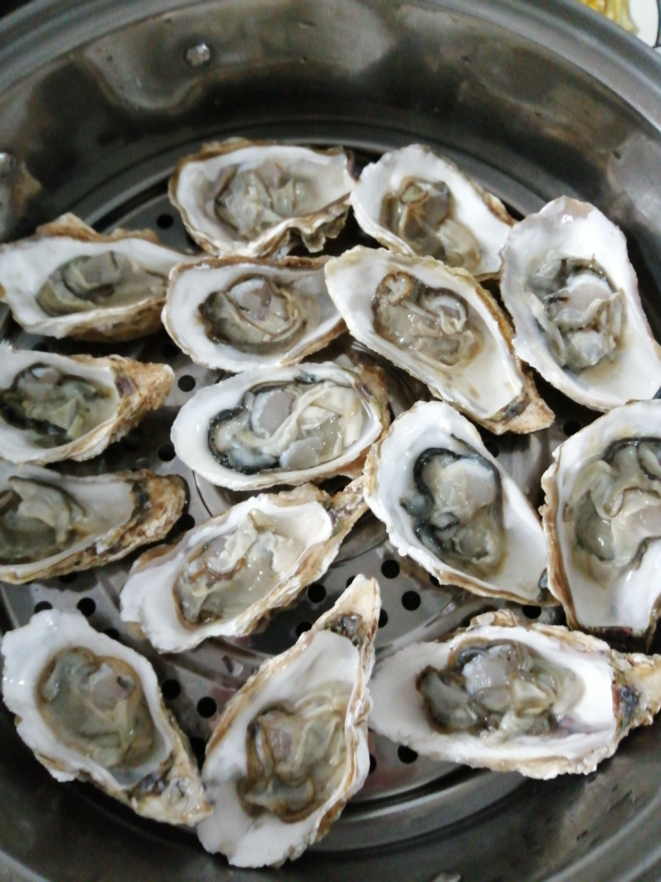 【店长力荐】【顺丰发货】鲜活山东乳山生蚝 精品5斤装 单个50-100g