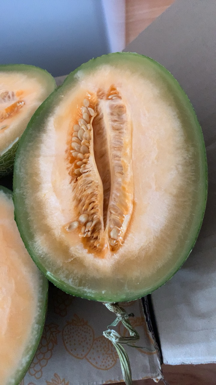 我们为您提供哈密瓜水果的优质评价,包括哈密瓜水果商品评价,晒单