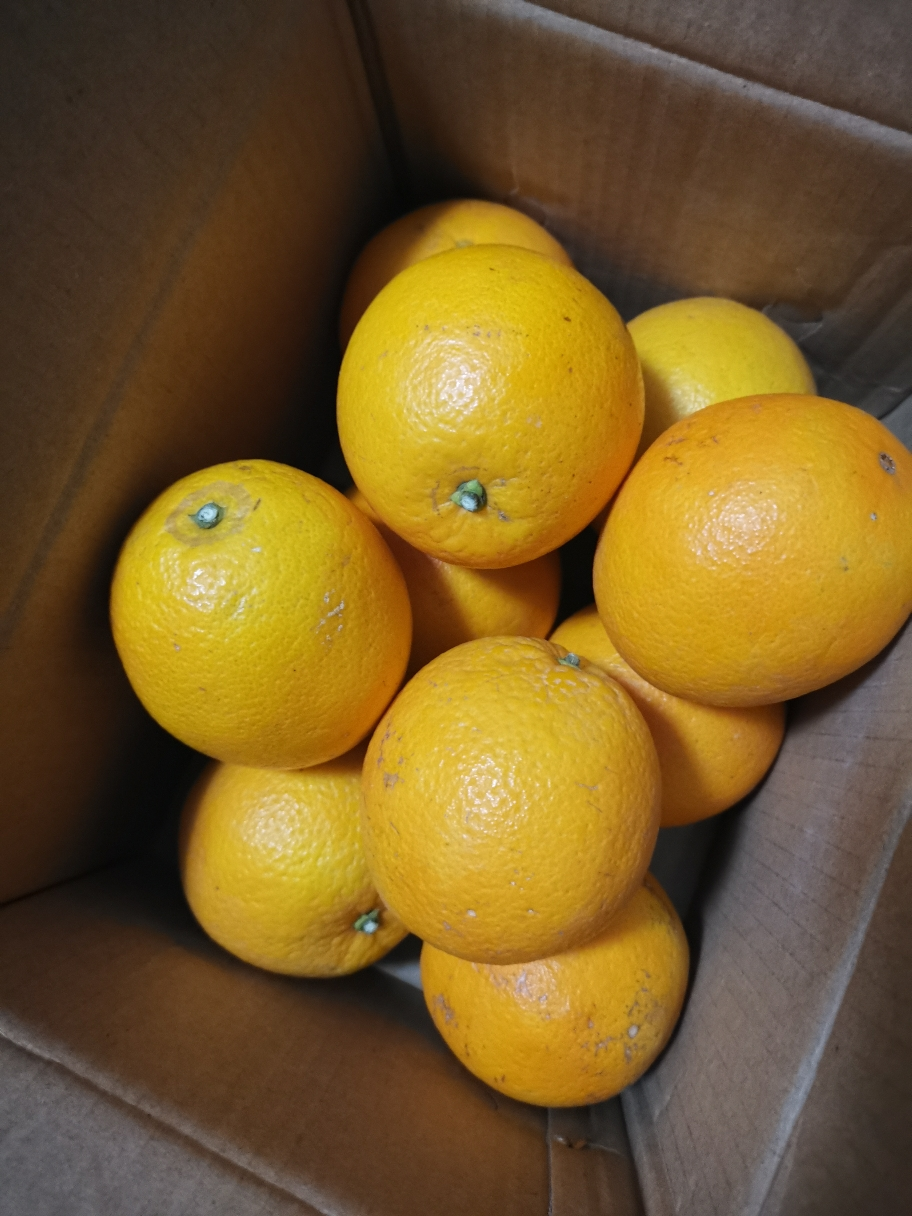 正宗赣南脐橙 精品大果5斤装 果径85mm以上 冰糖甜橙 新鲜橙子水果