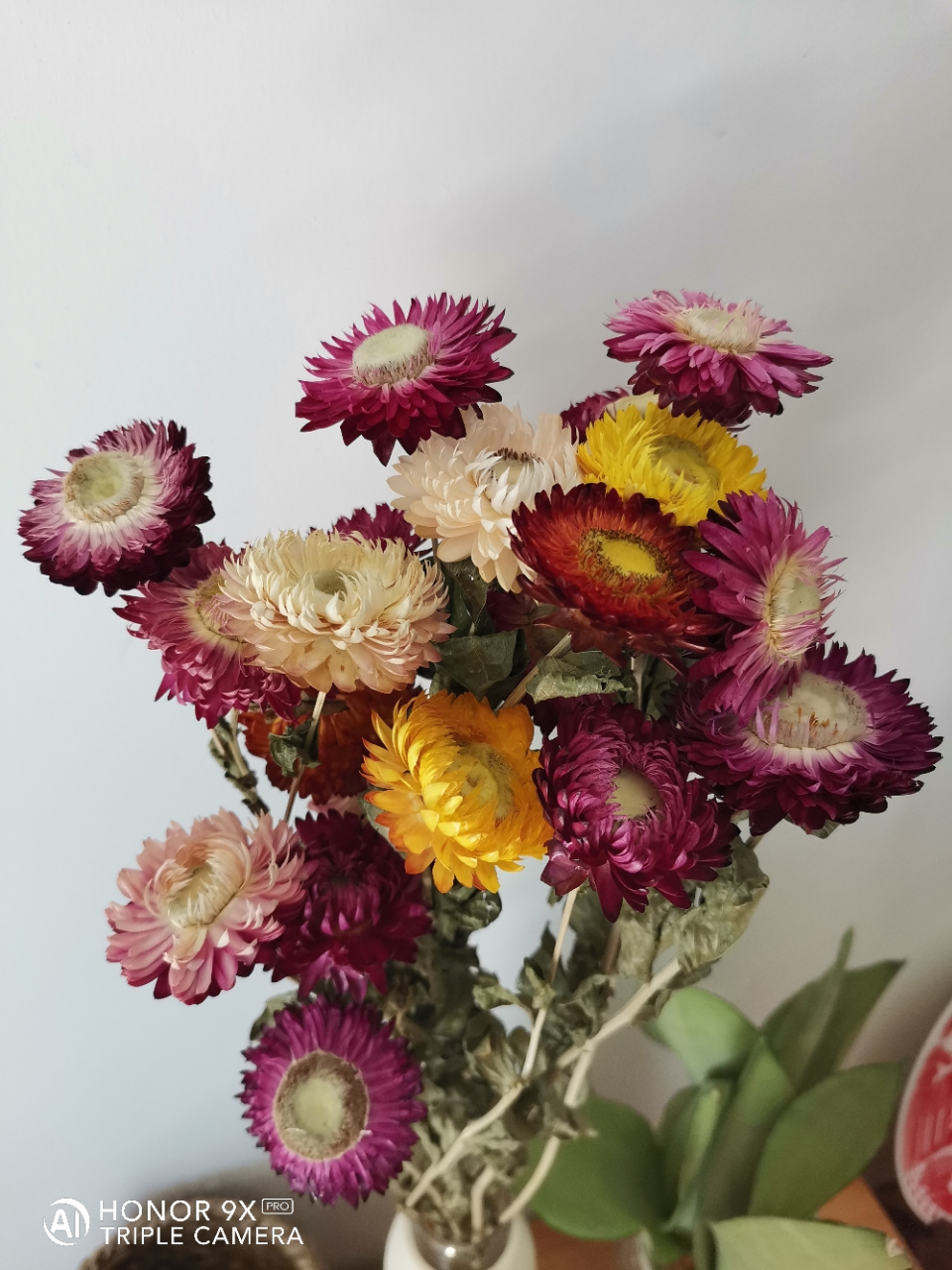 京弗 云南干花小雏菊麦秆菊七彩菊 干花花束真花装饰插花 家居摆设