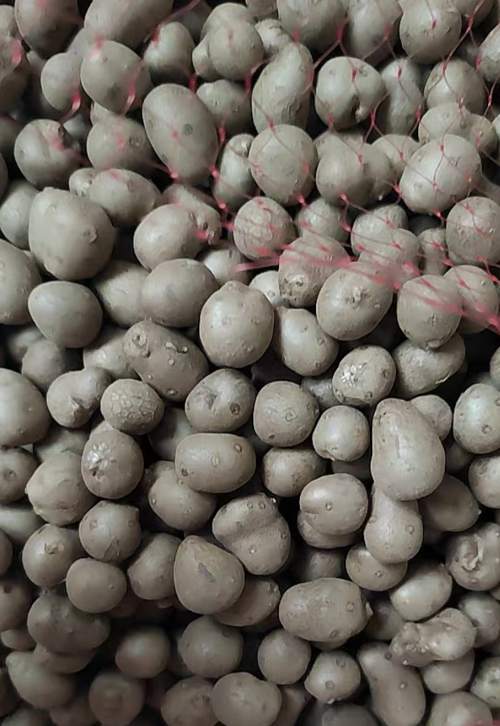 我们为您提供新鲜铁棍山药的优质评价包括新鲜铁棍山药商品评价晒单