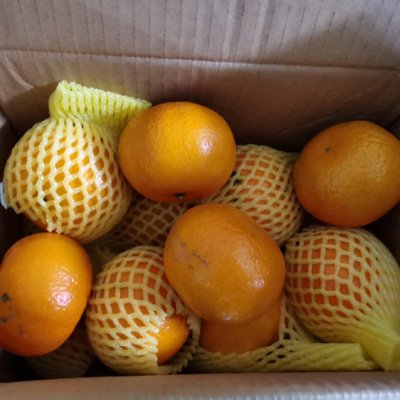广西沃柑桔子水果新鲜现摘橘子柑橘整箱 中果带箱(净重9斤)