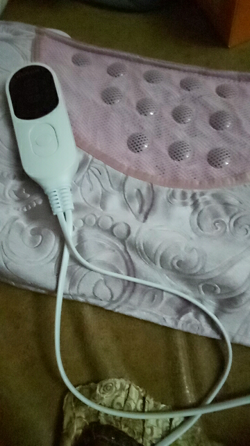 木顿电加热盐袋海盐粗盐热敷包电热艾灸艾草家用盐包晒单图