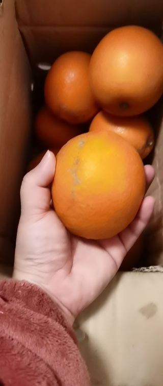 斤装 果径80-90mm 当季应季新鲜水果 甜橙 手剥橙 现摘香甜橙子晒单图
