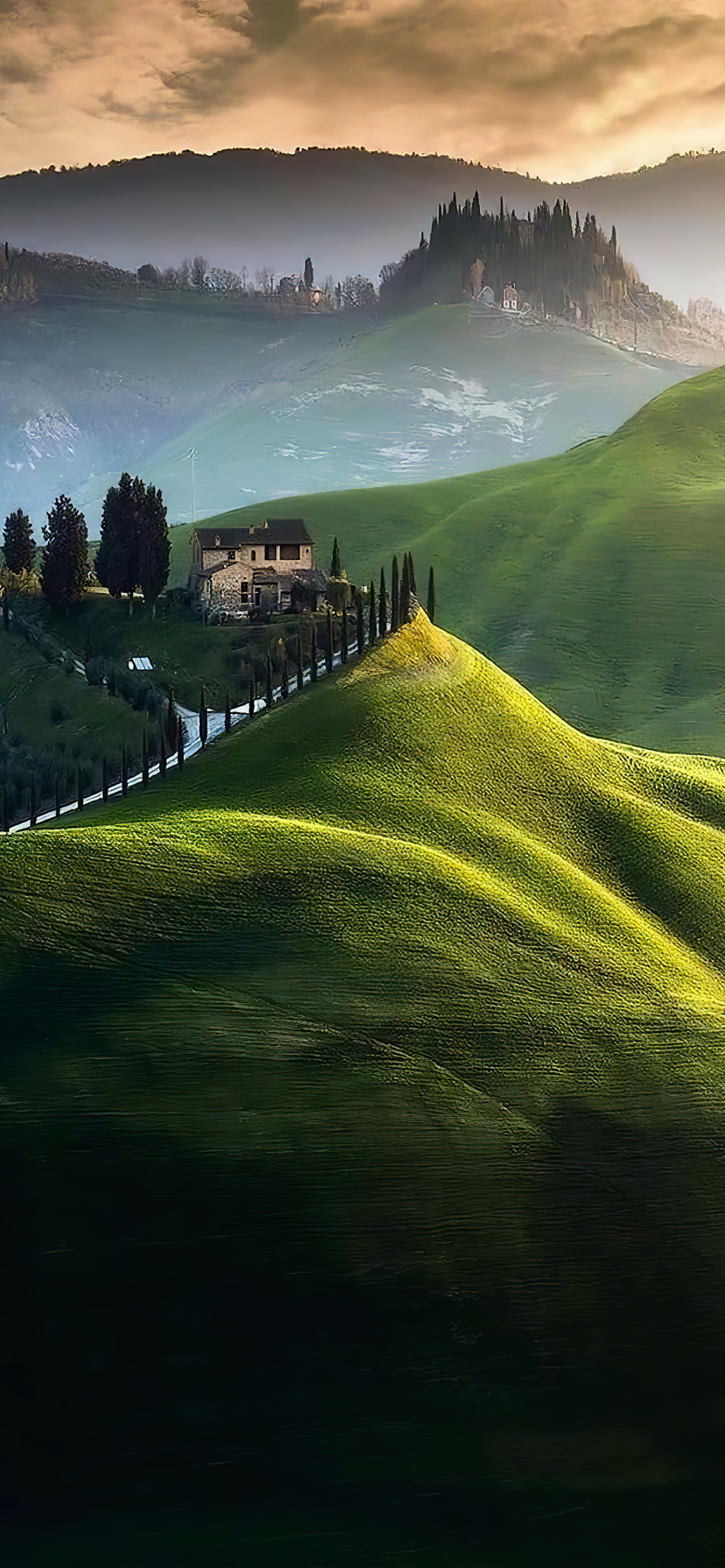 1284_2778竖版 竖屏