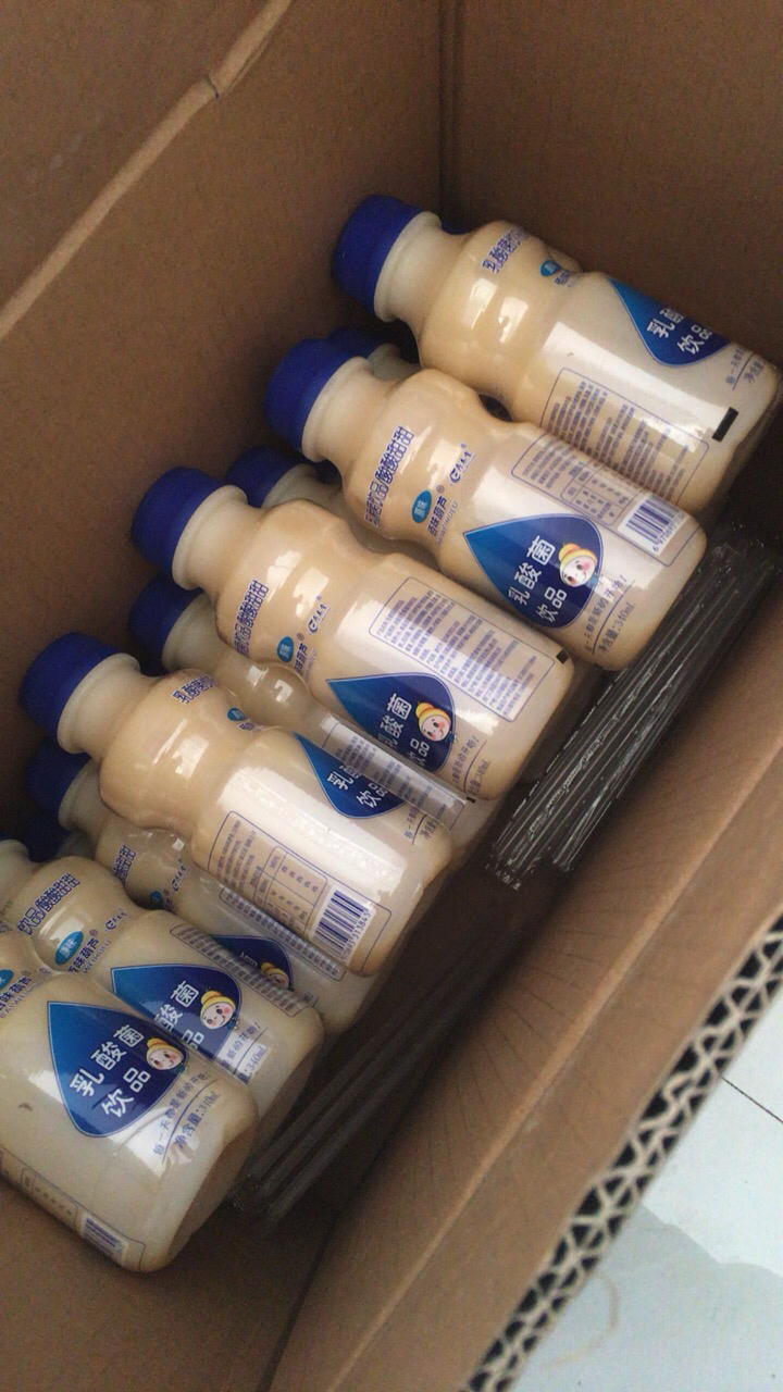 乳酸菌风味饮品 佰味葫芦乳酸菌340ml*6瓶早餐酸奶儿童牛奶饮料晒单图