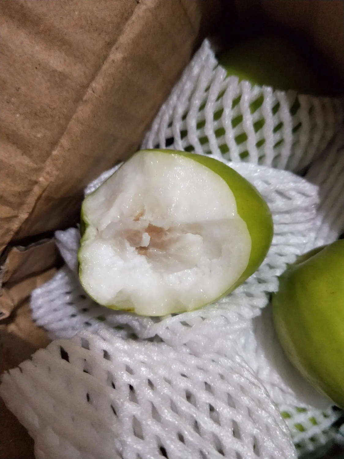 伍品汇 5斤装现摘牛奶大青枣小果新鲜水果清脆爽口共约65-75个左右