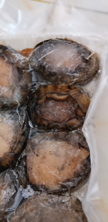 沈志雄船长 东山岛海鲜鲜活速冻大鲍鱼8头鲍16只共2斤火锅海鲜礼包年货晒单图