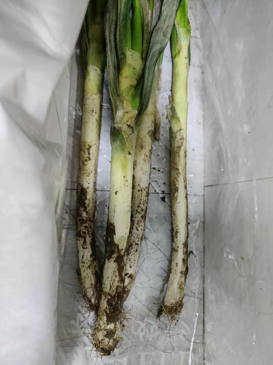 我们为您提供蔬菜批发的优质评价,包括蔬菜批发商品评